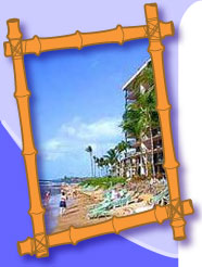 Bamboo Resort Photo Bamboo Resort Photo