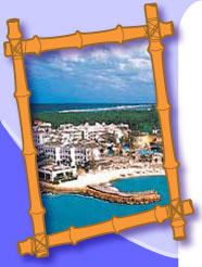 Bamboo Resort Photo