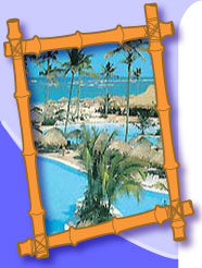 Bamboo Resort Photo Bamboo Resort Photo